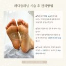 앨리스브로우 이미지