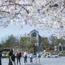 G밸리 디지털산업단지 21 이미지