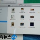 매버릭스 아이뉴스24