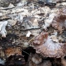 우리농원 이미지