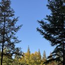 손톱쟁이 - 안성시 덕봉서원로 68 | 손톱쟁이의 학교강의 2트 후기
