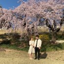 좋은사람좋은회사 | [#2 교제후기] "좋은 사람 만나게 해주셔서 감사합니다" - 결정사 대신 나간 첫 로테이션 소개팅, 교사...