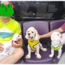 금란동물애견 이미지