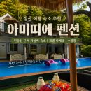 정선 여행 숙소 추천｜민둥산 근처 가성비 숙소 아미띠에 펜션 후기