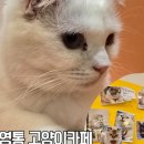 큐티멍 이미지