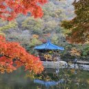 호텔그린토피아 이미지