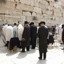 삼마목장 이미지