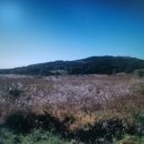 블루하이텔 이미지