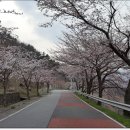 설천 이미지