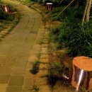 그루터기공원 이미지