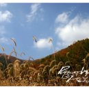 메이플하우스 펜션 이미지