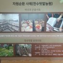 도시의꿈 이미지