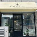 애프터 퍼피(AFTER PUPPY) | 울산 남구 삼산동 신상 애견미용샵 [애프터퍼피]에서 봉식이 미용후기