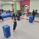 화랑 합기도 & 주짓수 이미지