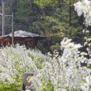 철쭉공원 화장실(동산) 이미지