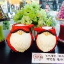 캔들앤바디 이미지