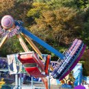 더덜하우스 | [용인] 에버랜드 겨울 한파 필수 준비물 및 사파리 놀이기구 이용 후기