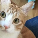 (주)페슬러 이미지