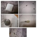 남자 정품 Christian Dior sports 자켓 / 밍크 헌팅캡 믿을수 없는 가격 !!! ** 판매완료입니다. ** 이미지