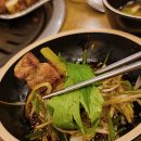 서해쭈꾸미 이미지