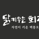 닭키우는 회장님 이미지