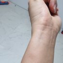 이현철의원 이미지