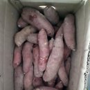 효정농장 이미지