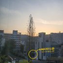 세븐일레븐 부산가톨릭베리타스점 | 학생생활교육관(기숙사) 사용법_#카리타스 3탄