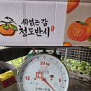 청도반시5Kg 이미지