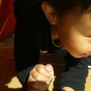 양동초병설유치원 이미지