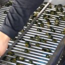 김성호농장 이미지