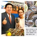 오도독 동아일보