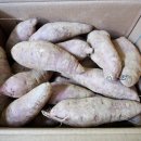 시골친척