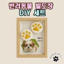 핸드프린팅 조형물 | 고양이 강아지 반려동물 핸드프린팅 발도장 찍기 DIY세트