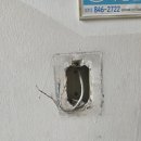 성우아파트 네이버블로그