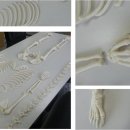 3D&BIO연구소