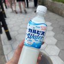 태경리치
