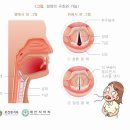 로이음악학원 - 화성시 와우로 20 | 로이음악학원