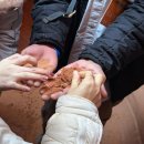 PAWS N PAWS(포즈앤포즈) | 여행코스 - 6 그랜드캐년 당일투어 추천 후기, 마이리얼트립 그랜드캐년 투어 추천 내돈내산 후기