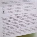 자몽디핸즈