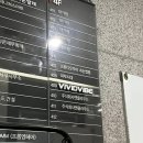 비비드바이브