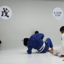 무 주짓수 아카데미 검단당하동 이미지