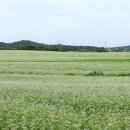 물돌이농장 이미지