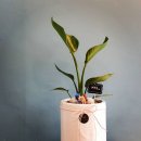 플라워PC방 이미지