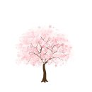 대우드림공인중개사사무소 이미지