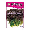 씨앗 - 남양주시 덕소로116번길 11 | 씨앗