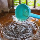 신촌식당 이미지