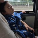 정자1동 | 분당 정자동 차없는 카페거리 축제 2025 방문후기