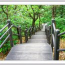 둘레길7구간 이미지