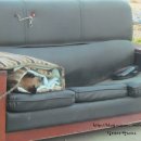 동구LPG충전소 이미지